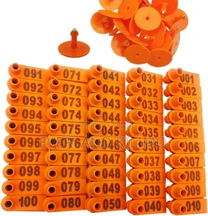 Breeding Identification Slim Tag - Orange Numbered
