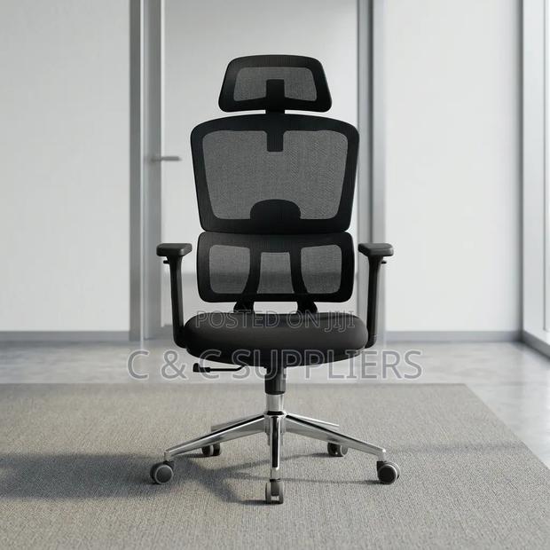 Ergonomic Posture Support Chair.