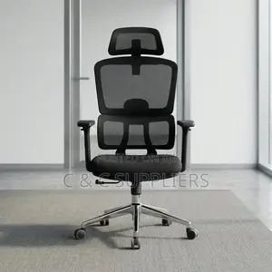 Ergonomic Posture Support Chair.