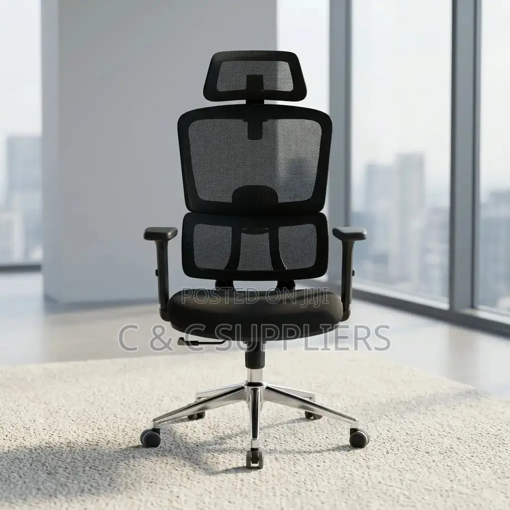 Ergonomic Posture Support Chair.