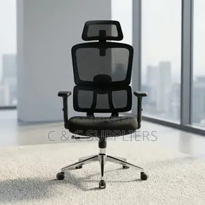 Ergonomic Posture Support Chair.