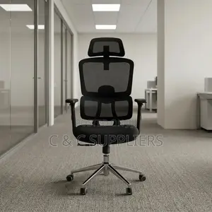 Ergonomic Posture Support Chair.