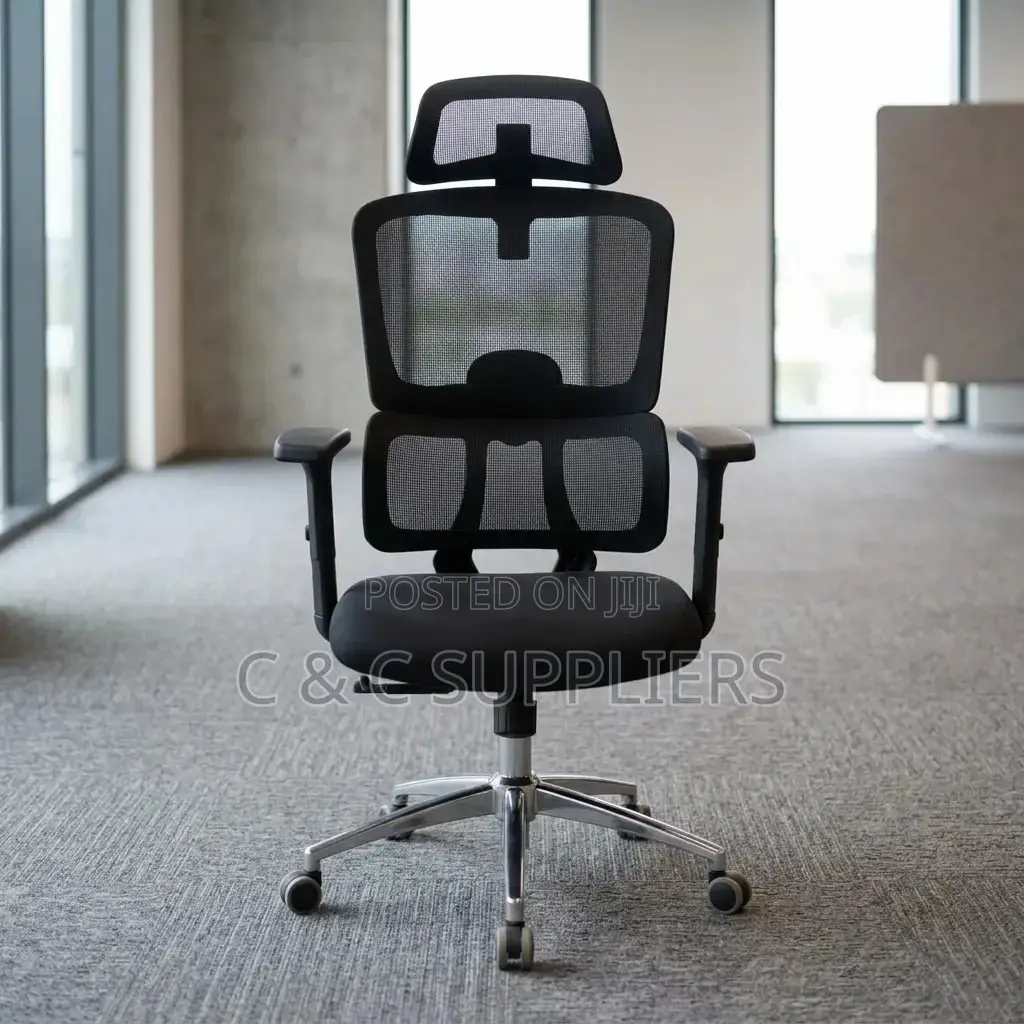 Ergonomic Posture Support Chair.