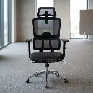 Ergonomic Posture Support Chair.