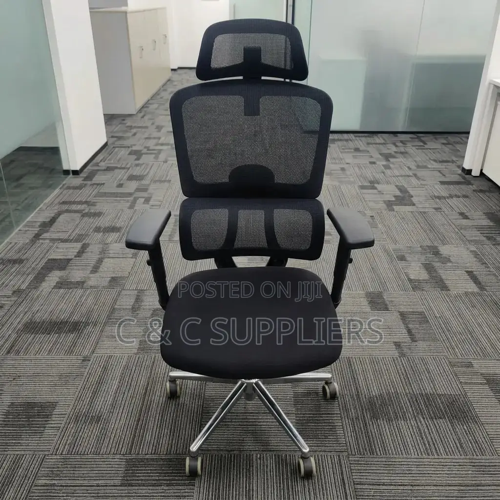 Ergonomic Posture Support Chair.