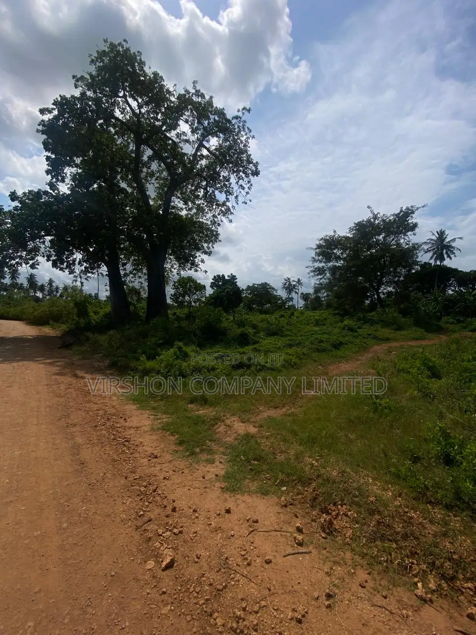 Prime Plot for Sale in Diani