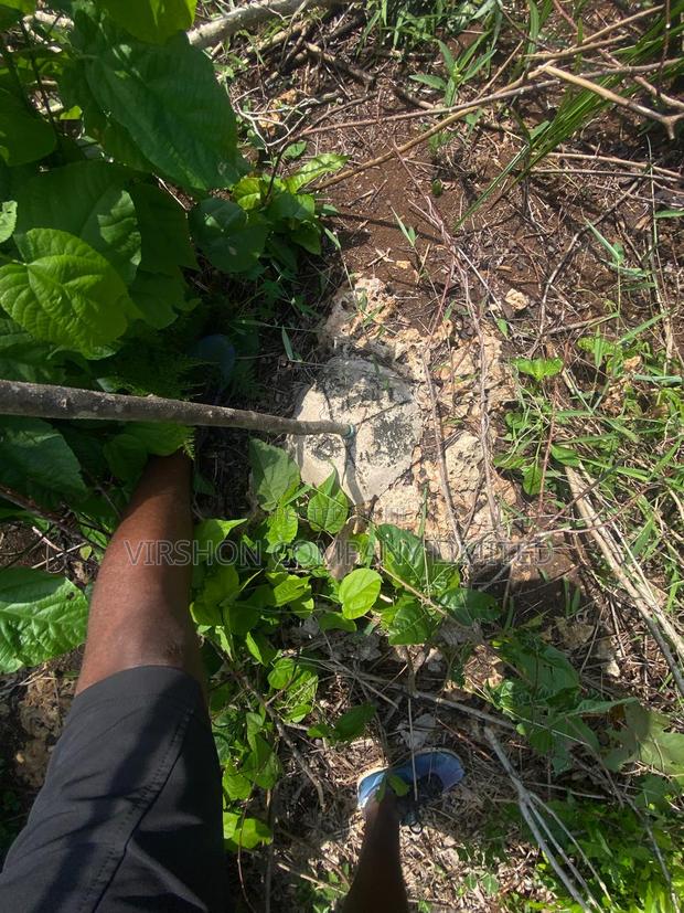 Prime Plot for Sale in Diani - thumbnail 6