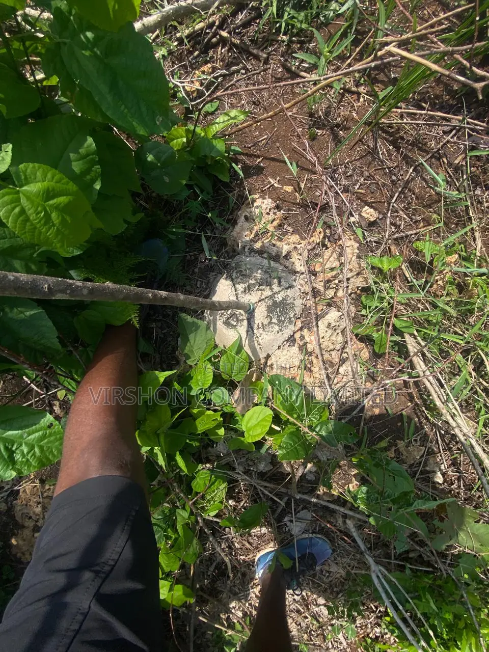 Prime Plot for Sale in Diani