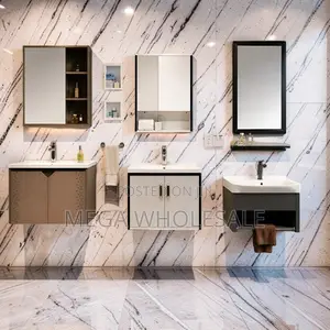 Adjustable Shelves Wall Mounted Bathroom Vanity Cabinet With Mirror