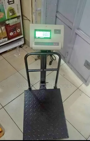 A12 300 Kg Platform Scale