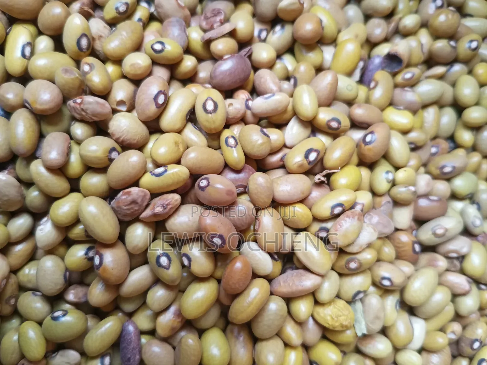 Fanaka Cereals and Groceries Limited