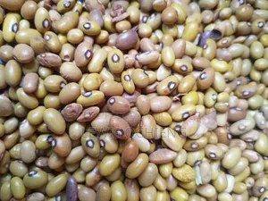 Fanaka Cereals and Groceries Limited