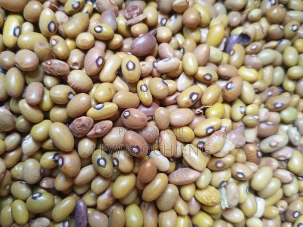 Fanaka Cereals and Groceries Limited