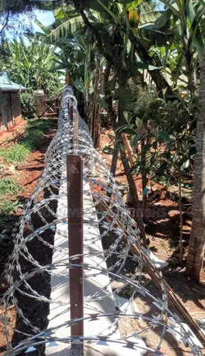 Razors Wire Fence
