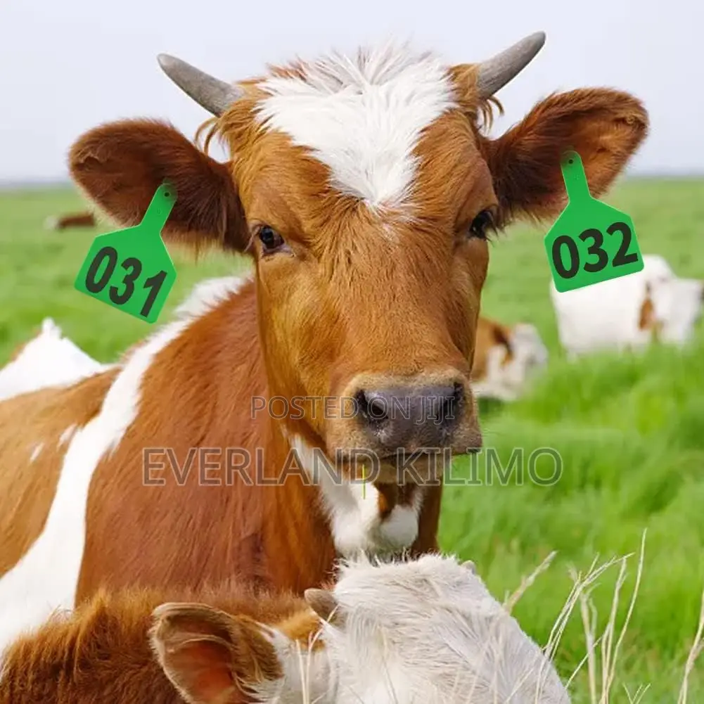 Mother Identification Tag - Medium Ear Tag