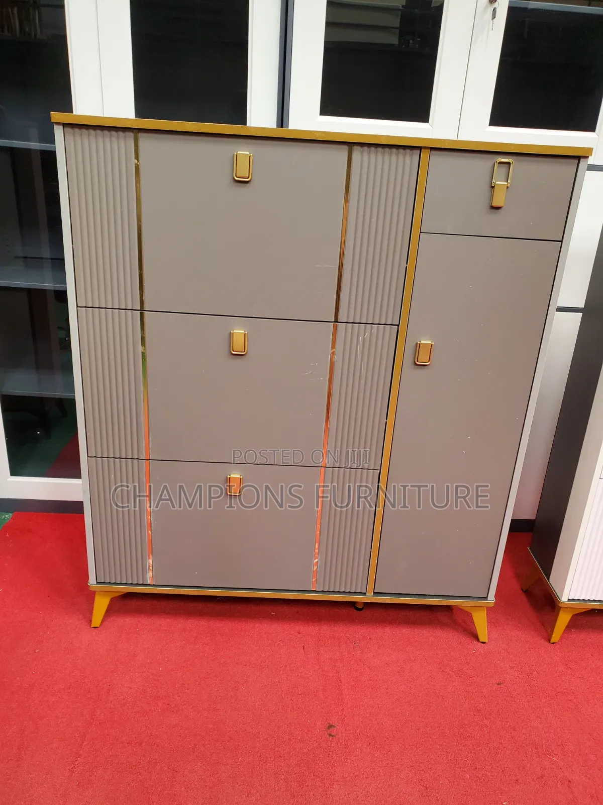 Multitier Shoe and Utility Cabinet