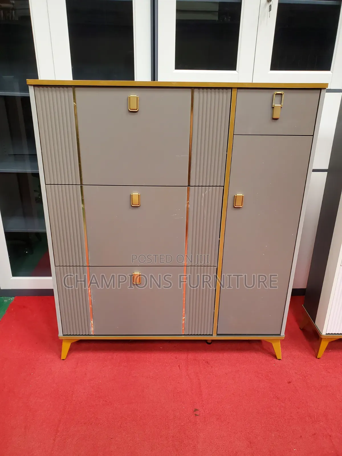Multitier Shoe and Utility Cabinet