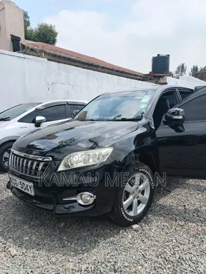 Toyota Vanguard 2009 Matt Black