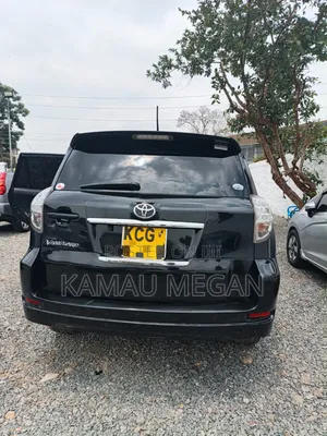 Toyota Vanguard 2009 Matt Black