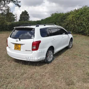 Toyota Corolla Fielder 2007 White