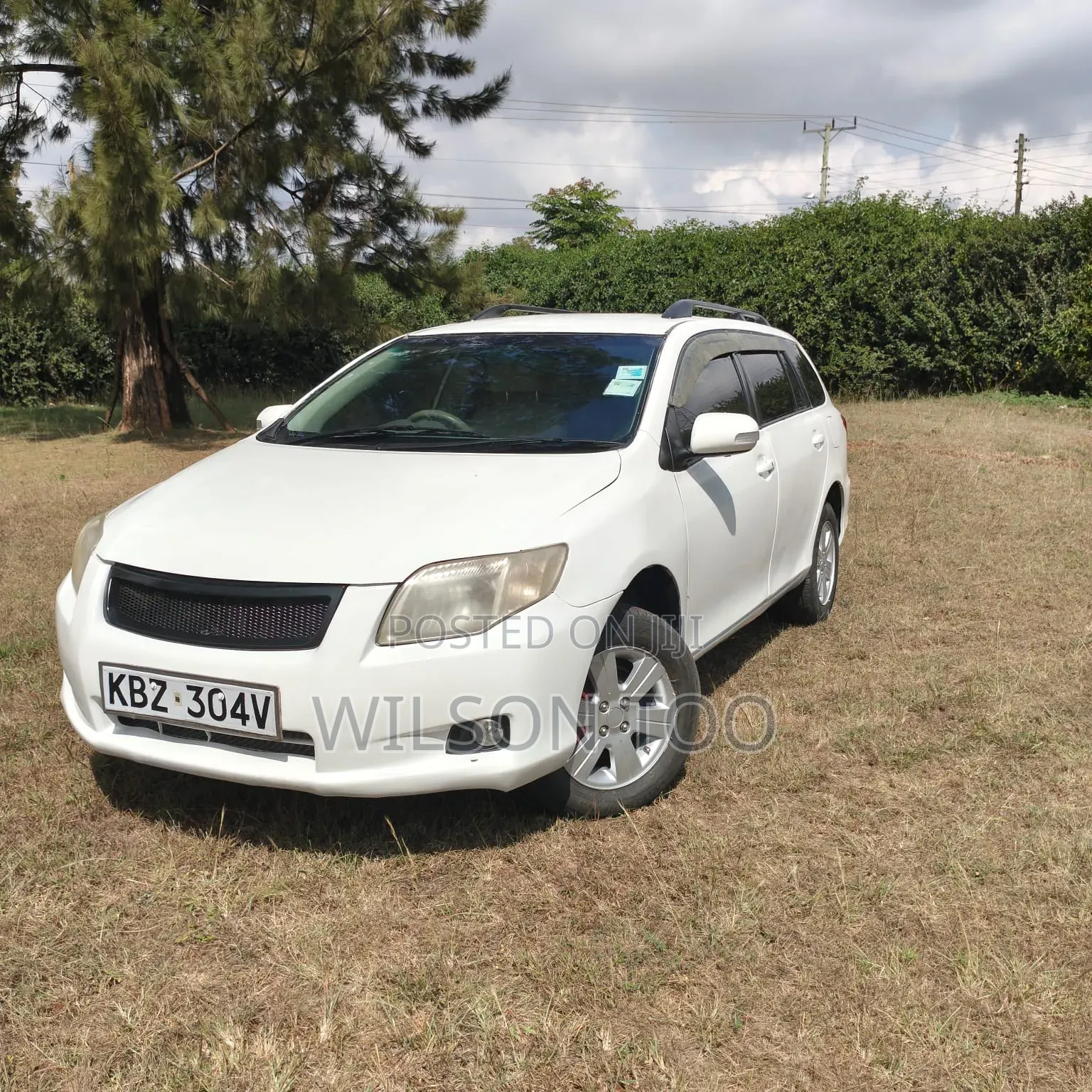 Toyota Corolla Fielder 2007 White