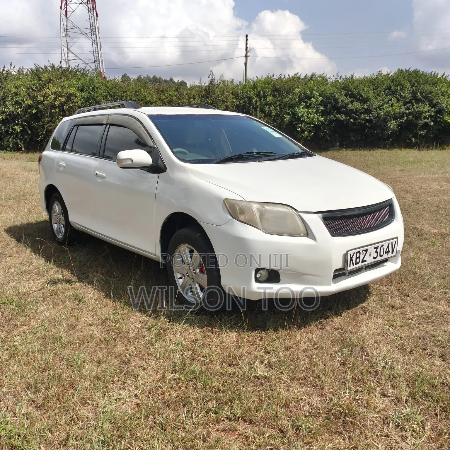 Toyota Corolla Fielder 2007 White