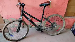 7 Gear Mountain Bike