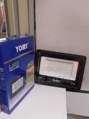 50 Watts AC Floodlight or Security Light Waterproof Ip65 Energy Saving