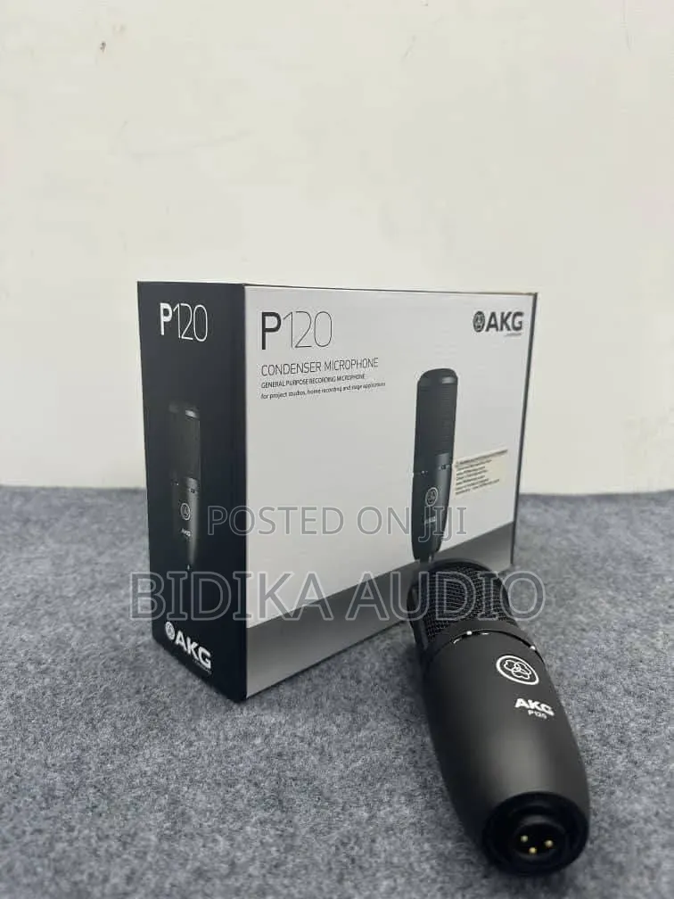 AKG P120 High-Performance General Purpose Recording Microphone (XLR)