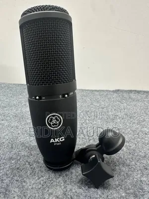 AKG P120 High-Performance General Purpose Recording Microphone (XLR)
