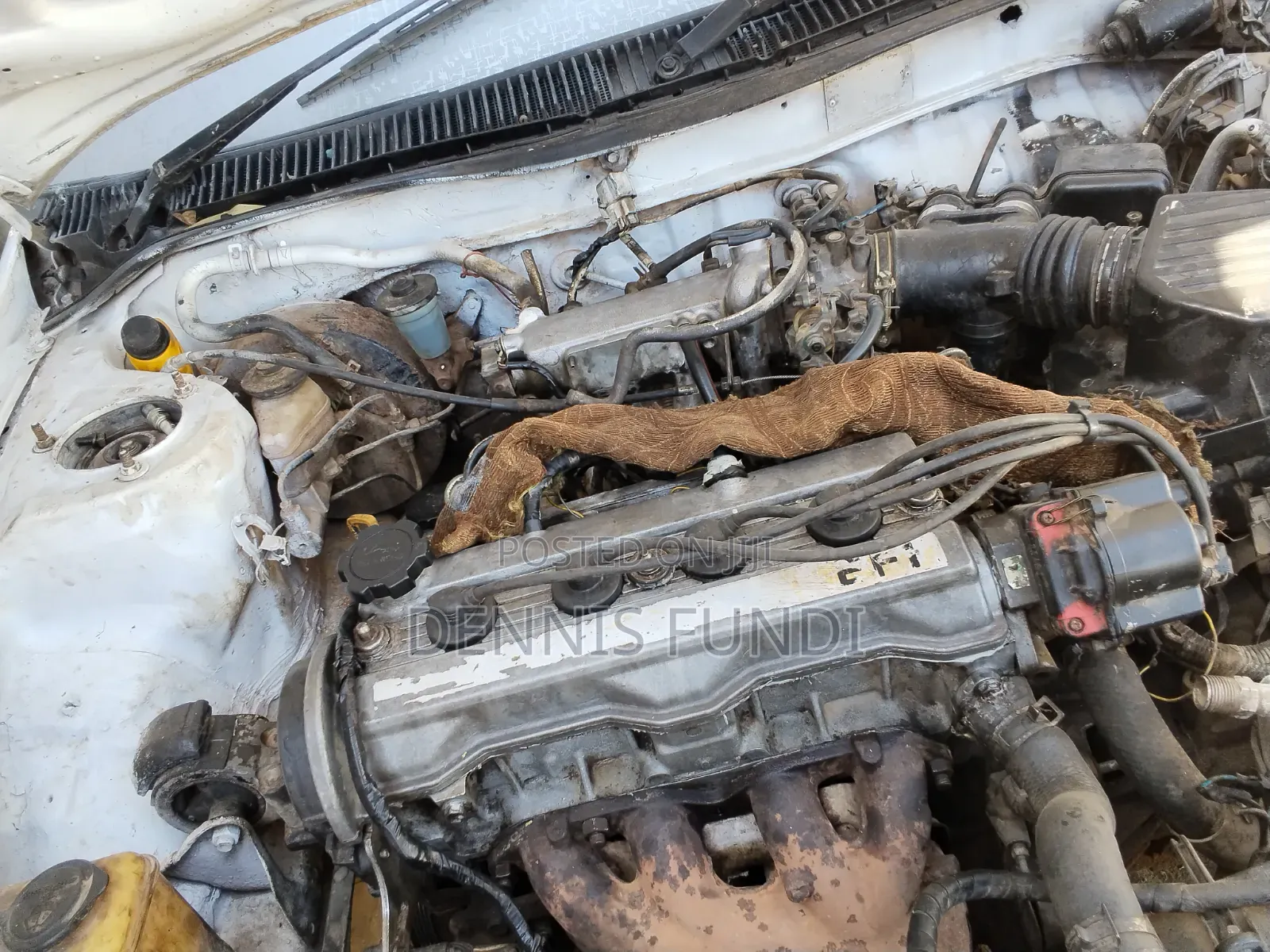 Toyota Corolla 1996 White