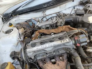 Toyota Corolla 1996 White