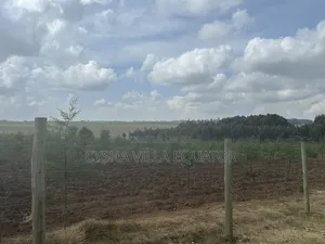 Huge Prime Land Touching Tarmac