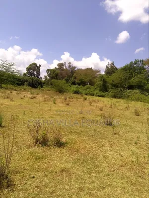 Huge Prime Land Touching Tarmac