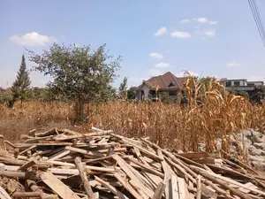 1/4 Acre Residental Plots for Sale in Ruiru- Mhasibu Bustani