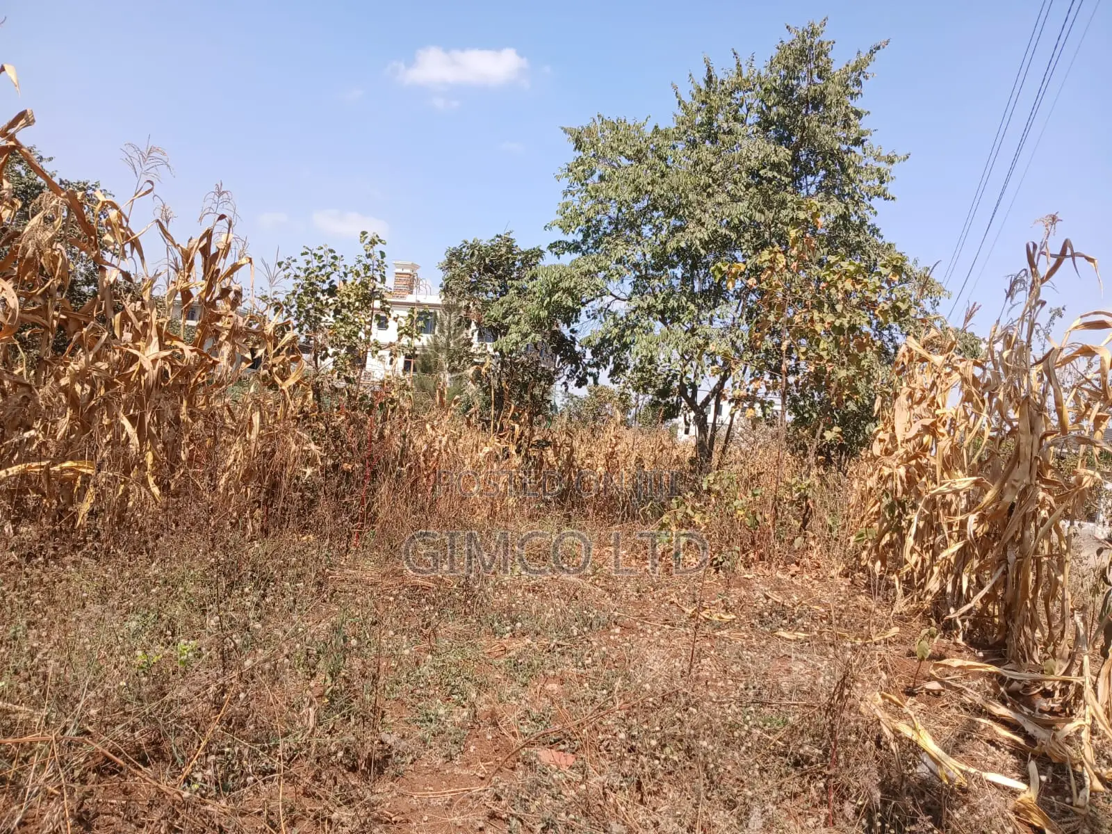 1/4 Acre Residental Plots for Sale in Ruiru- Mhasibu Bustani