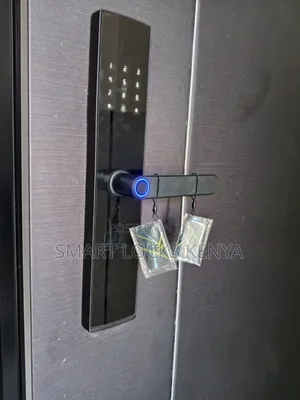 Password Smart Unlock Door Lock