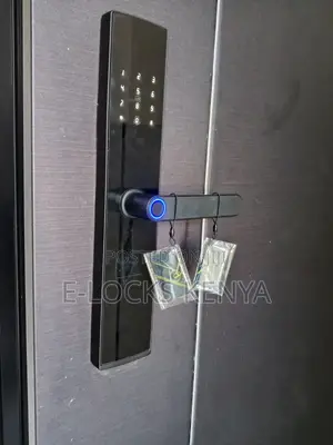 Password Smart Unlock Door Lock