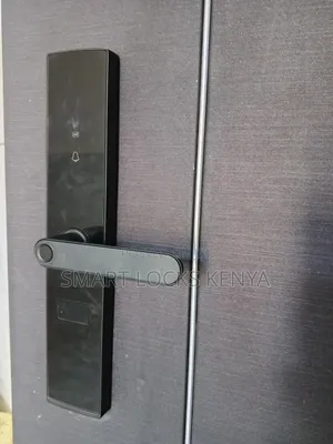 Password Smart Unlock Door Lock