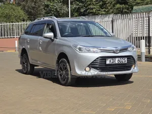 Toyota Corolla Fielder 2017 Silver