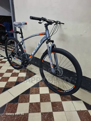 Big Size Bicycle