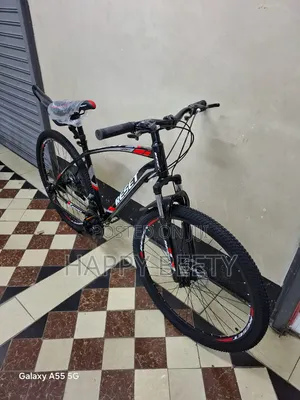 Big Size Bicycle