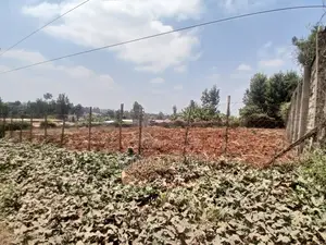 3/4 Plot for Sale in Thindigua Kiambu Road