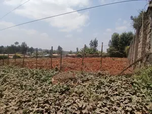 3/4 Plot for Sale in Thindigua Kiambu Road