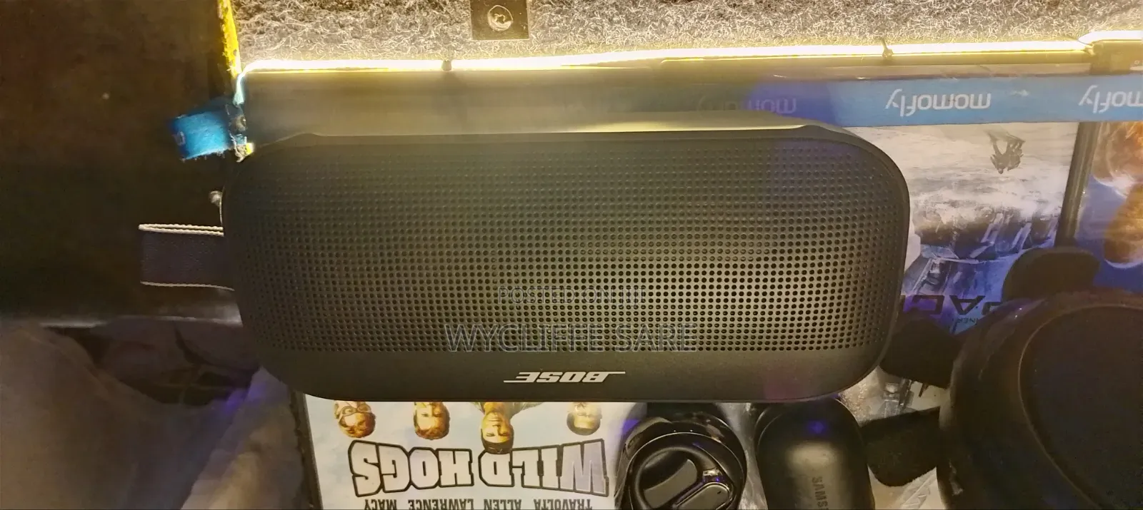 BOSE Soundlink Flex