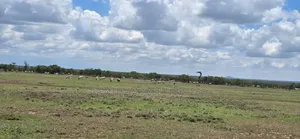 Land on Sale in Acres