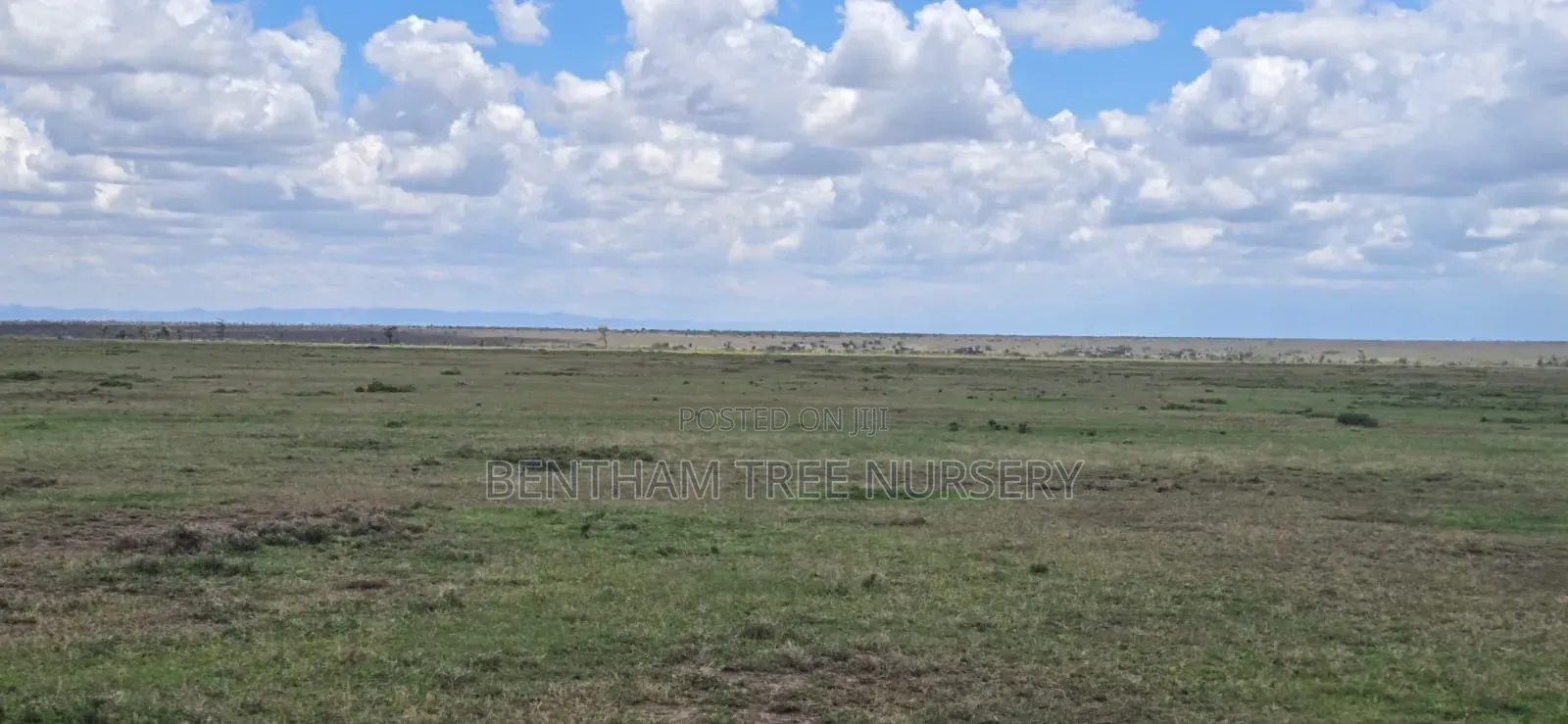 Land on Sale in Acres