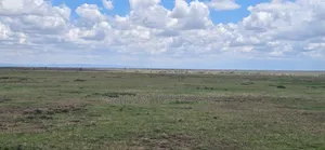 Land on Sale in Acres