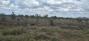 Land on Sale in Acres