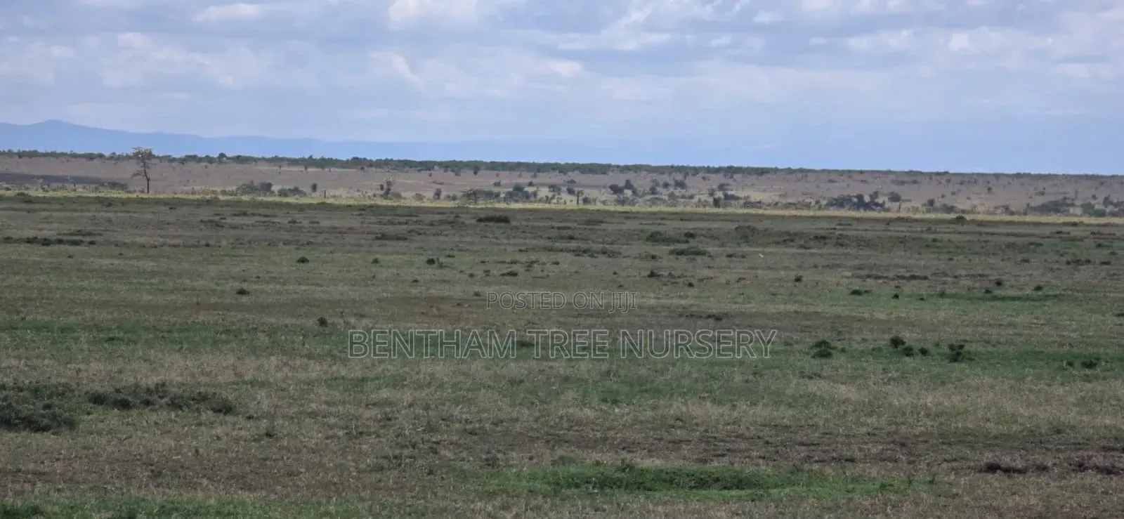 Land on Sale in Acres